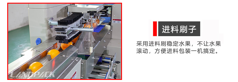 水果海綿保護(hù)裝置 水果海綿保護(hù)裝置