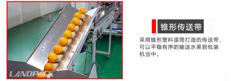 錐形傳送帶 錐形傳送帶