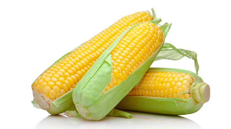 新鮮玉米棒 新鮮玉米棒