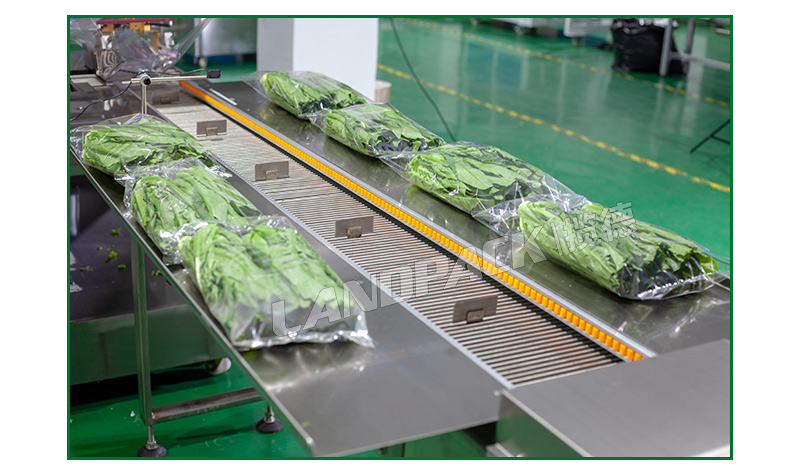 蔬菜包裝機(jī) 蔬菜包裝機(jī)