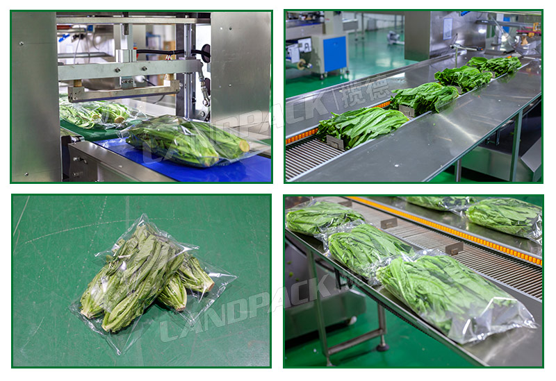 蔬菜包裝機(jī) 蔬菜包裝機(jī)