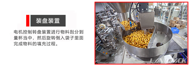 轉(zhuǎn)盤(pán)裝置 轉(zhuǎn)盤(pán)裝置